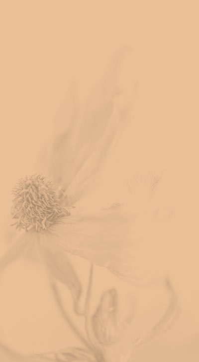 acupuncture-28