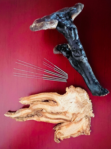 Mushroom-needles-3